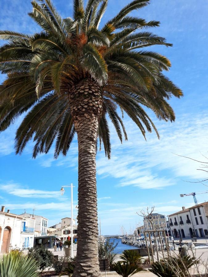 Appartement De Charme Sur Le Port De Marseillan Exterior foto