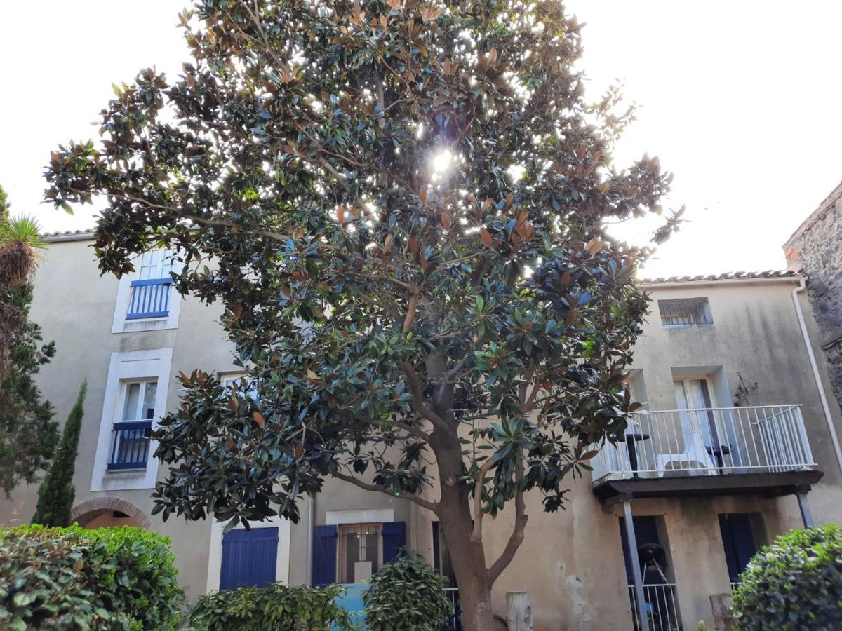 Appartement De Charme Sur Le Port De Marseillan Exterior foto
